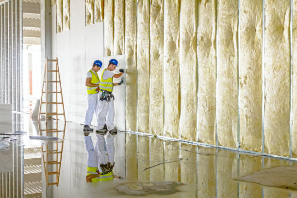 Best Basement Insulation  in Reedley, CA